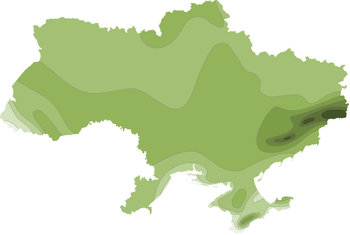 Туман